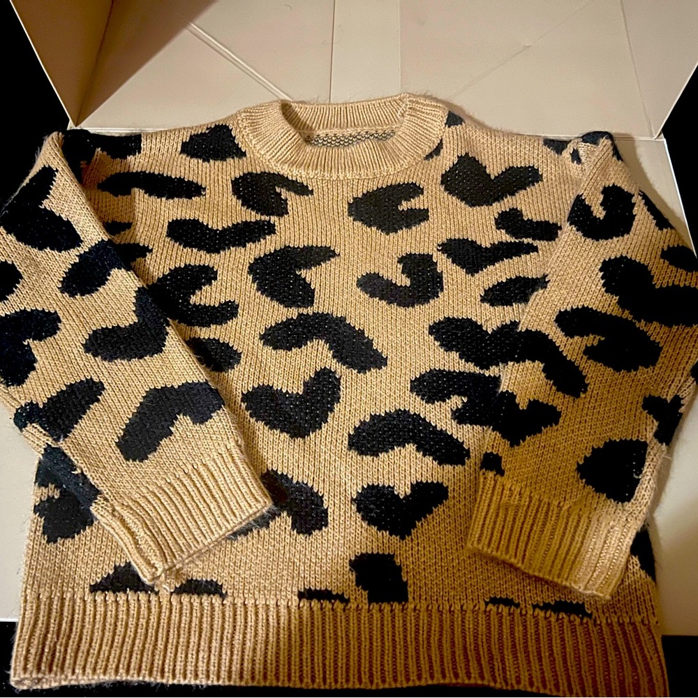 Little Girls Fashion Sweater